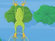 Clever Frog